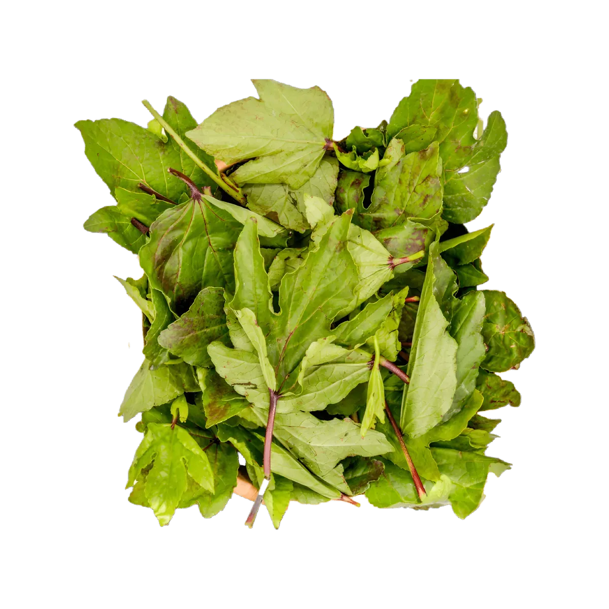 Feuilles de bissap N'gai N'gai / Gnatou surgelées, riches en nutriments, idéales pour plats africains traditionnels et recettes santé.